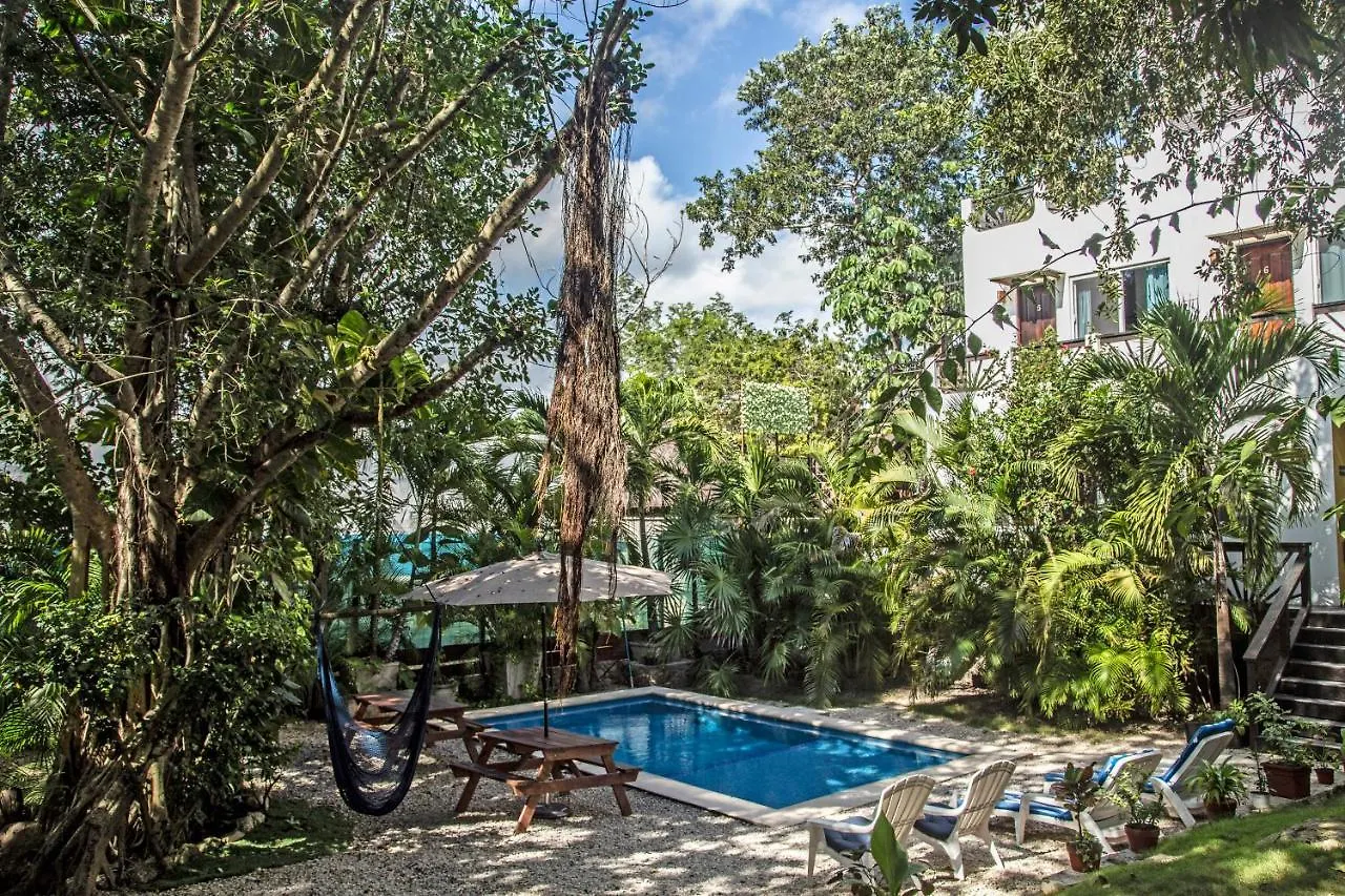 Mango Tulum Hotel contacts